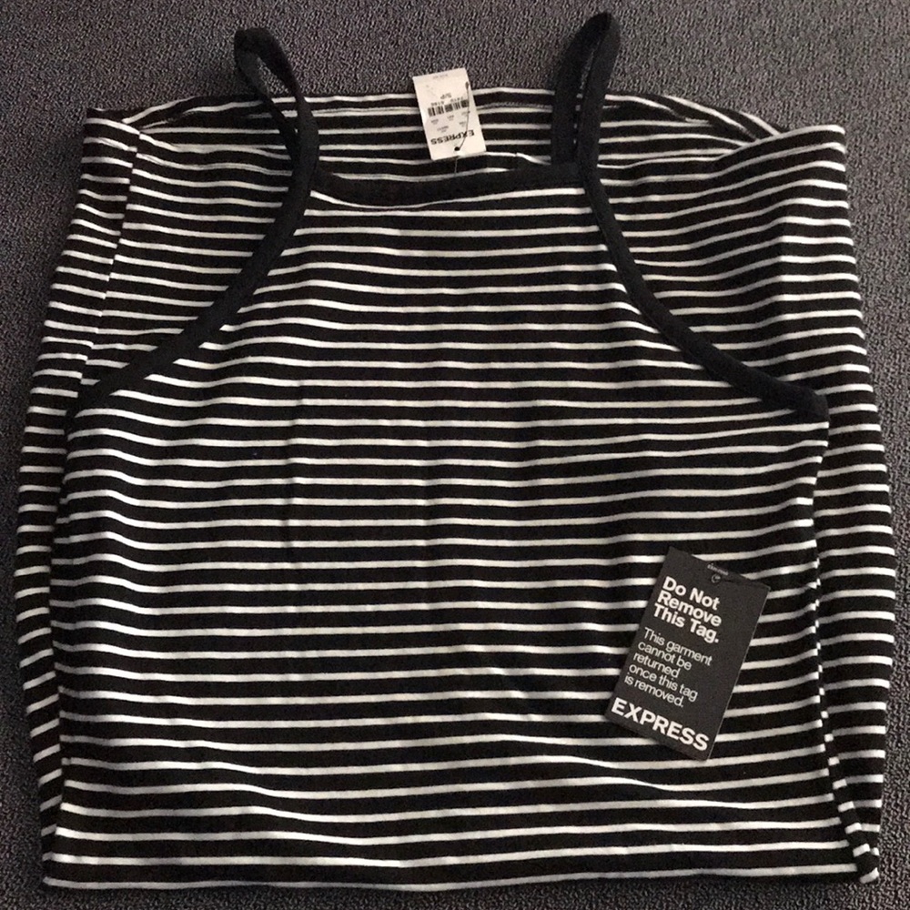 Express striped dress